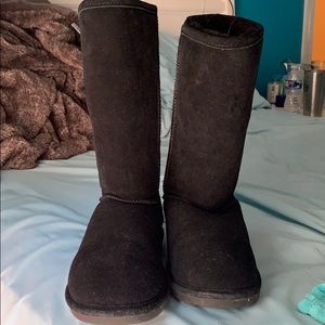 black bear paw boots